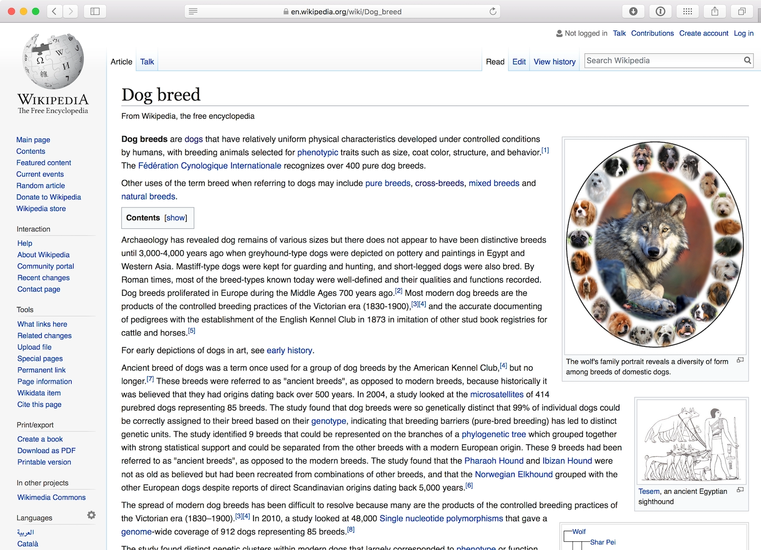 The Wikipedia page for Dog breed. With large headings for History and Genetic evidence of breeds, and a subheading of Ancient dog breeds, the text is easier to scan.