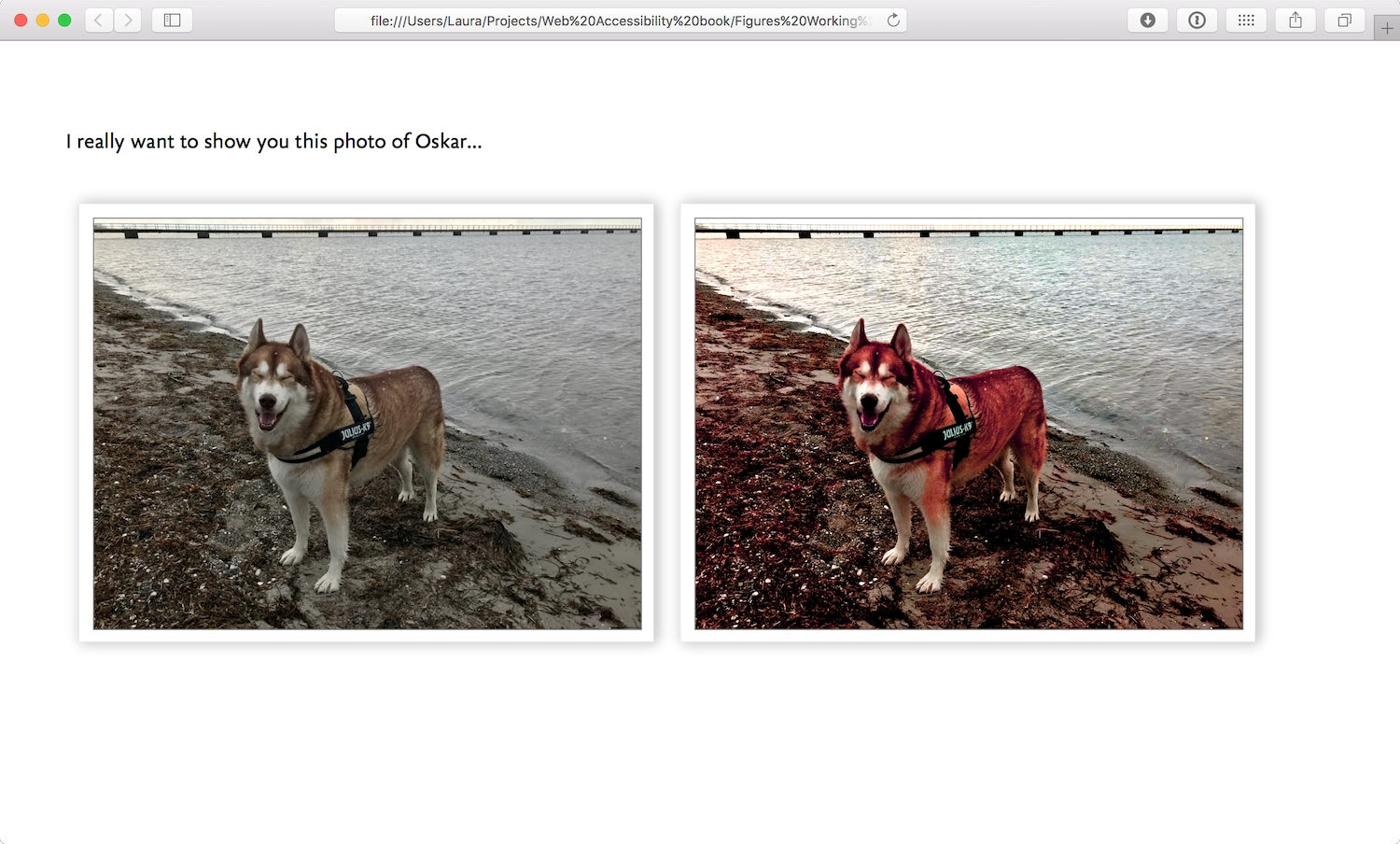 Two of the same husky photos in the browser. The original photo has no filter, the filtered image is heavily saturated with red colors.